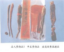 立式销量占比46.0%